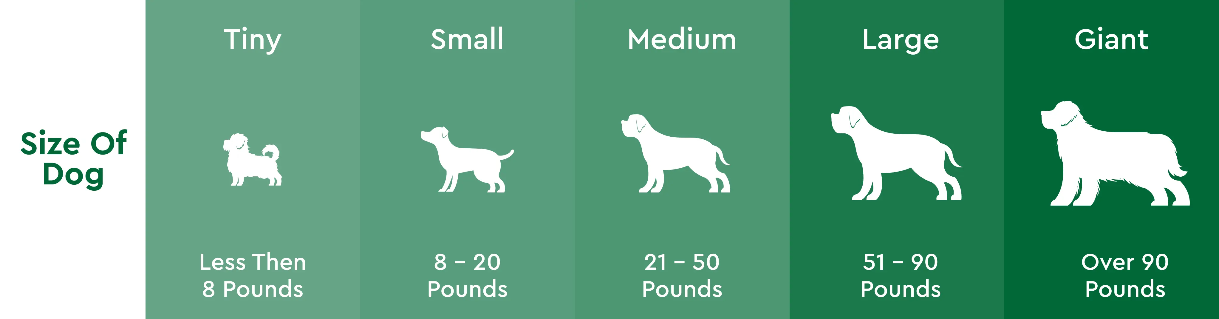 Dog age calculator