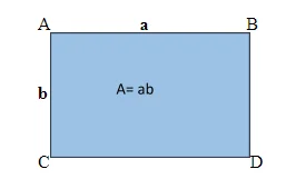 How to find the area of a rectangle?